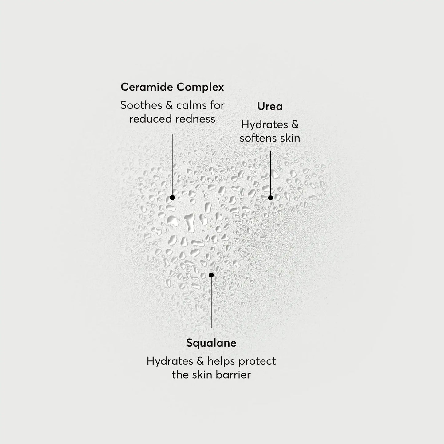 barrier-bounce-bi-phase-mist-n0 NATR-10167-Alt-Images-Barrier-Bounce-Bi-Phase-Toner-Mist_01.webp