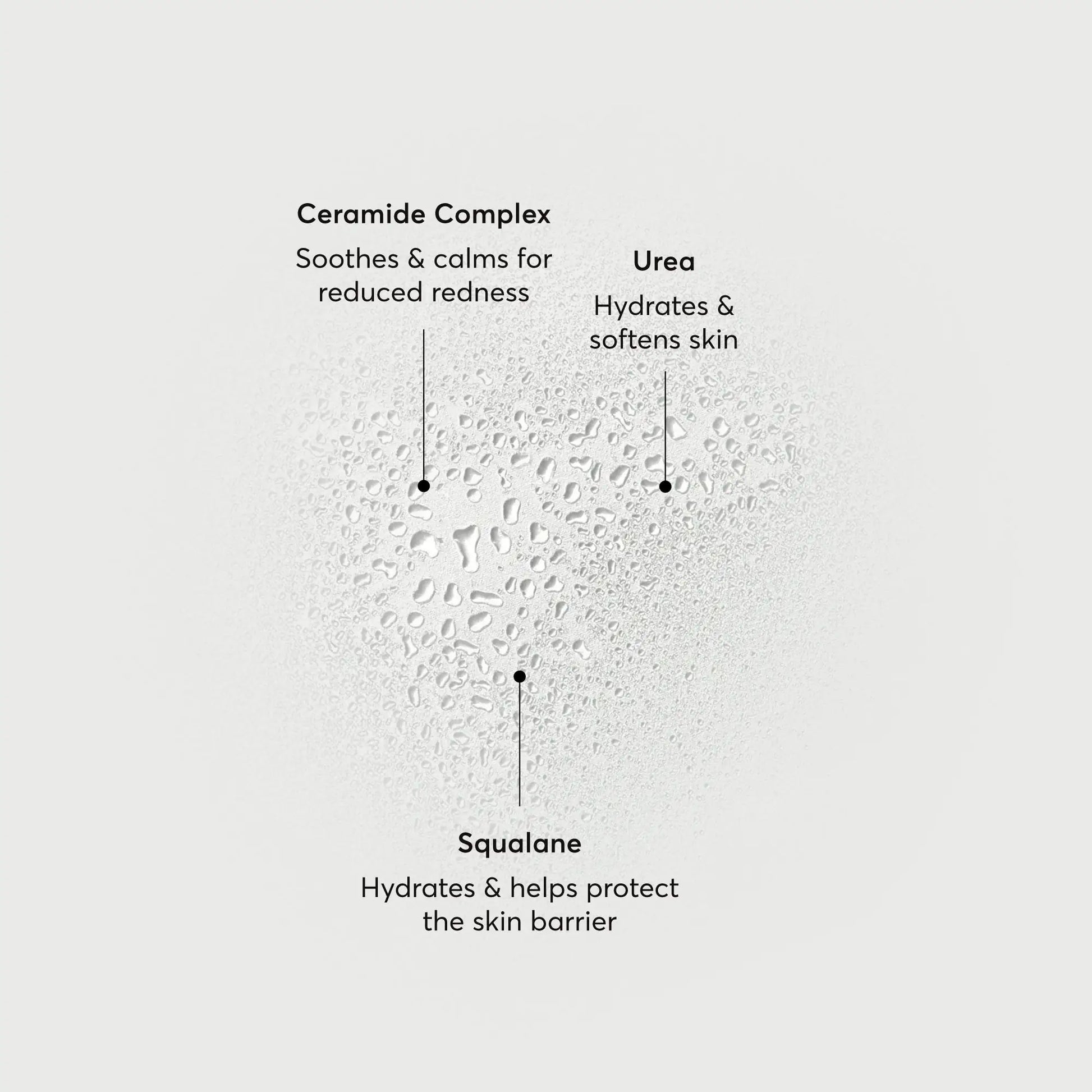 barrier-bounce-bi-phase-mist-n0 NATR-10167-Alt-Images-Barrier-Bounce-Bi-Phase-Toner-Mist_01.webp